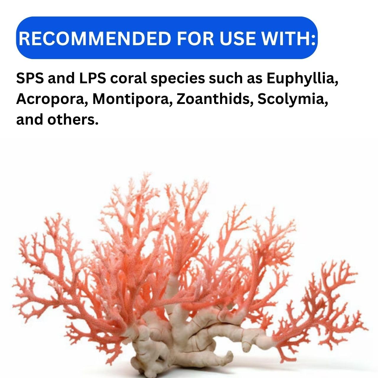 ON+ Reef Pulse Power Food for SPS/LPS Corals (Original from Tunai Store) | Food for Coral Species Such as Euphyllia, Acropora, Montipora, Zoanthids, Scolymia, and Others. (60gms, Reef Pulse)