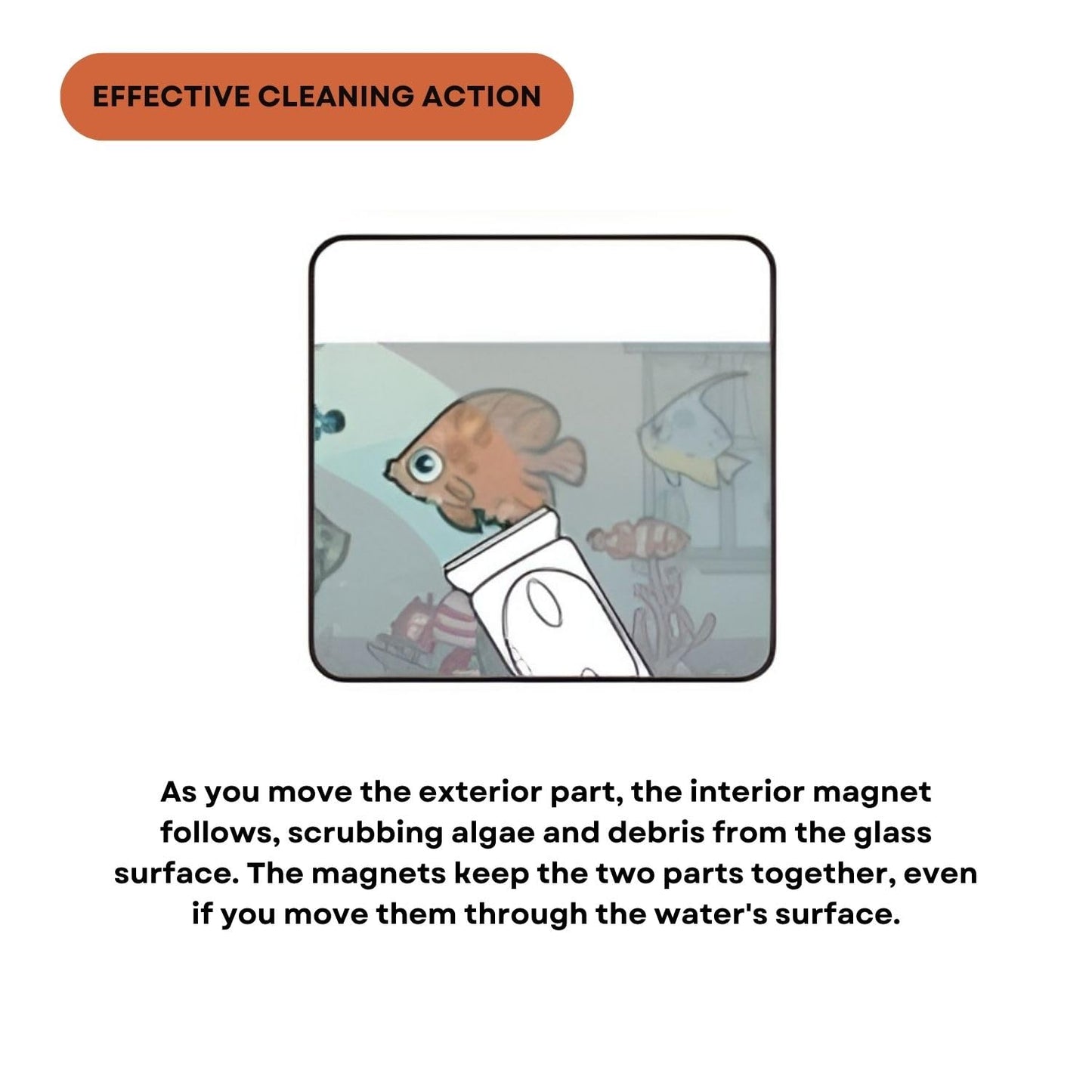 Dophin FM002(M) Magnet Cleaner for Aquarium Fish Tank | Innovative Tool | High Strength Magnets | Contoured Grip | (Original from Tunai Store) (FM002 (M))