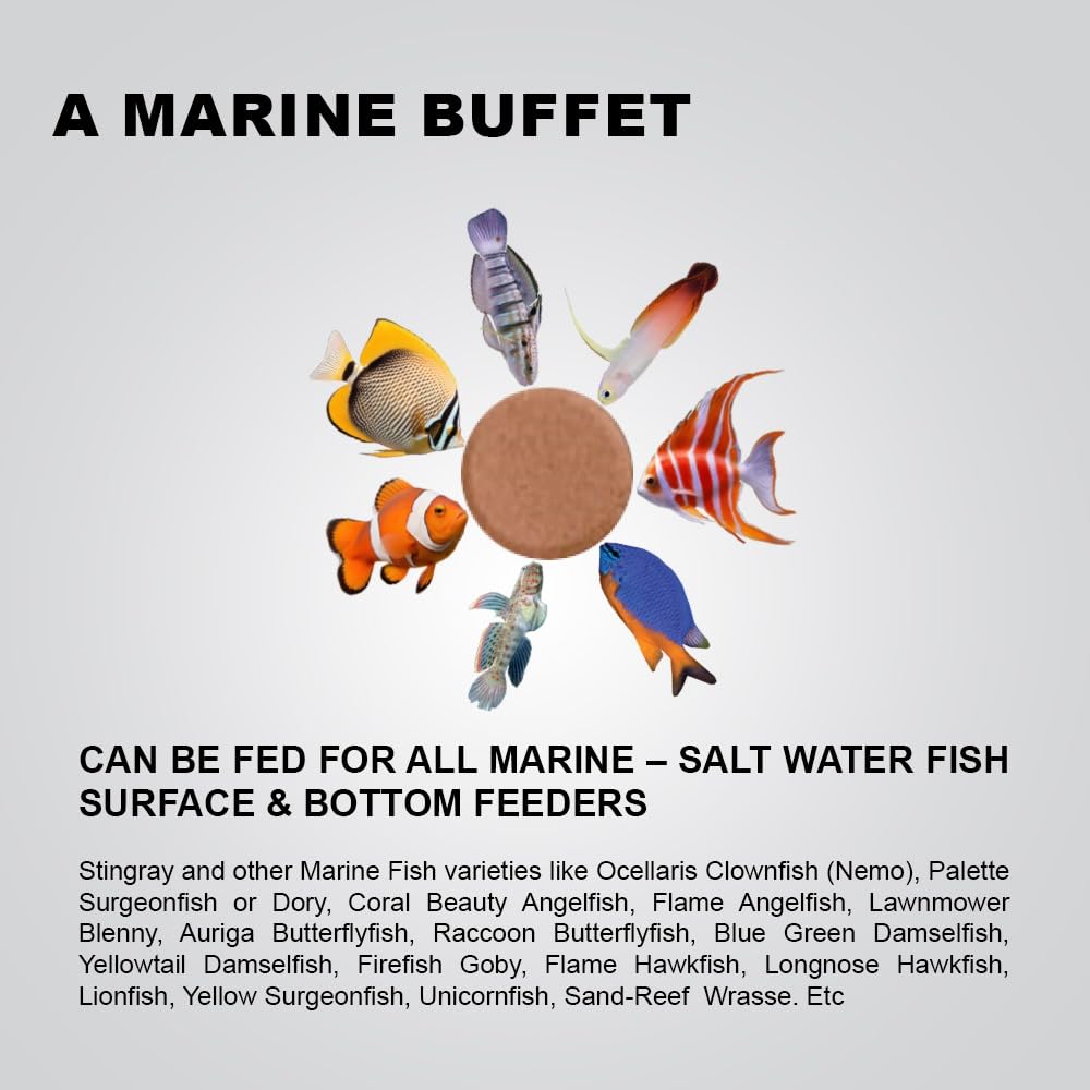 TUNAI BRITAB Stick-On Glass | 42% Protein | 100g | Perfect Marine Fish Food for Clownfish or Nemo, Dory, Angelfish, Butterflyfish, Lionfish, Yellowtail, Stingray & Others