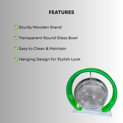 Double Bowl 6-inch Green Round Fish Bowl – Standing & Hanging Decorative Aquarium for Home & Office | 2-in-1 Double Bowl Round Fish Tank