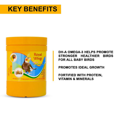 SF+ Royal Wings Hand Feeding Formula Bird Food | 250g | for All New Born Birds
