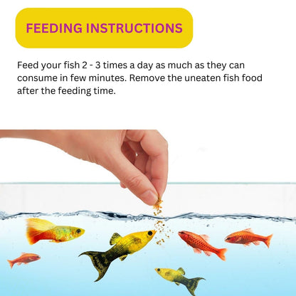 SF+ Hi-Color Tropical Fish Food | Overall Health and Vitality of Tropical Fishes | Originally from TUNAI Store (100gms, Pellets)