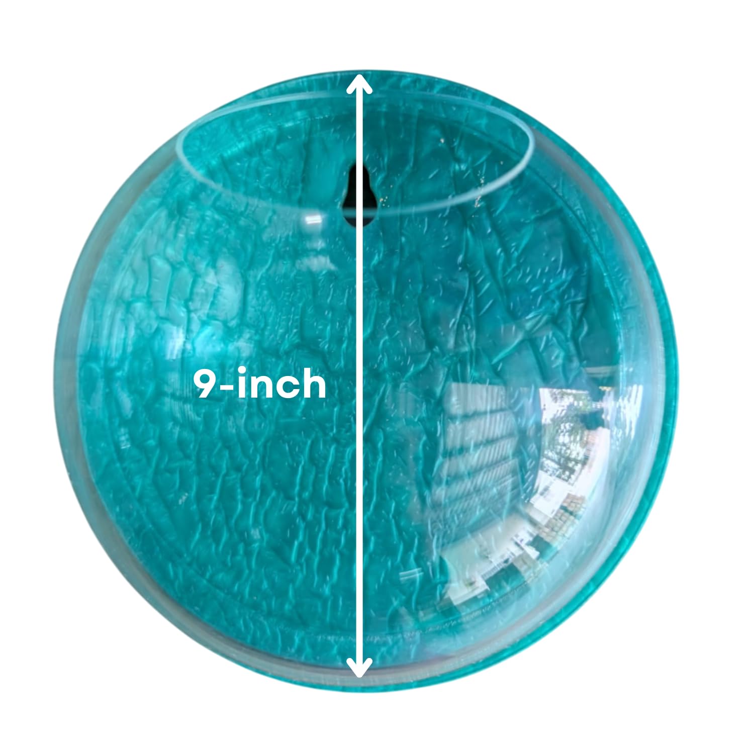 Wall Mount 9-inch Blue Round Shape Fish Bowl – Without Stand | Modern Aquarium for Home, Office & Café Décor | Space Saving & Compact Design | Elegant Fish Tank & Plant Terrarium