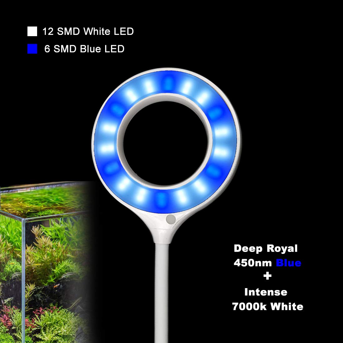 Rs Electrical Aquarium Fish Bowl Clip On Clamp Led Light Lamp For Small Fish Tanks Super Bright Blue White Led - 6.4W Energy Saving By Visual Arrest, Pack of 1