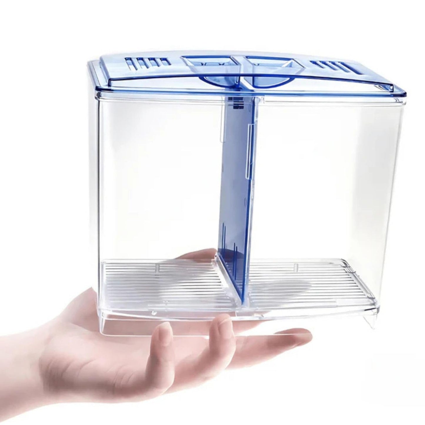 Dophin BT104 Aquarium Betta Fish Tank | Ideal for Betta, Small Fishes and Plant Keeping |Capacity - 1L Fish Tank | (Original from Tunai Store)