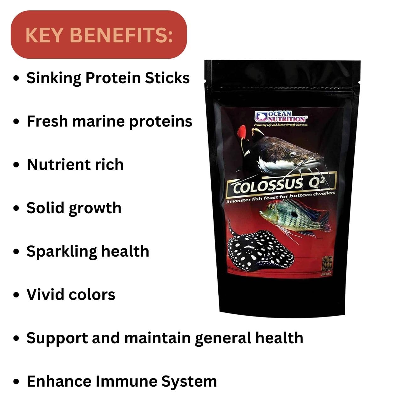 ON+ Colossus Q2 Sinking Protein Sticks Fish Food (Original from Tunai Store) | A Monster Fish Feast for Plecotomus, Cory Cat Fish, Loaches, Freshwater Stingrays (500gms, Sinking Pellets)