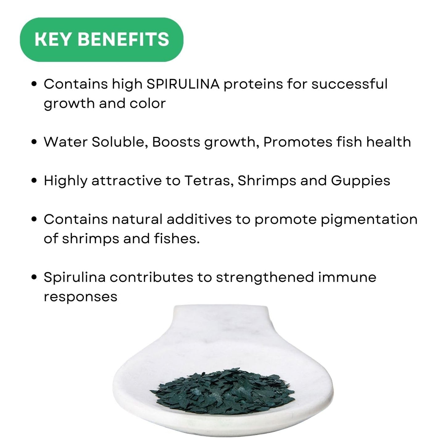 SF+ Spirulina Flakes Fish Food | Nutritional Flake Food for Tetras, Guppies and Shrimps | Originally from TUNAI Store (25gms, Spirulina)