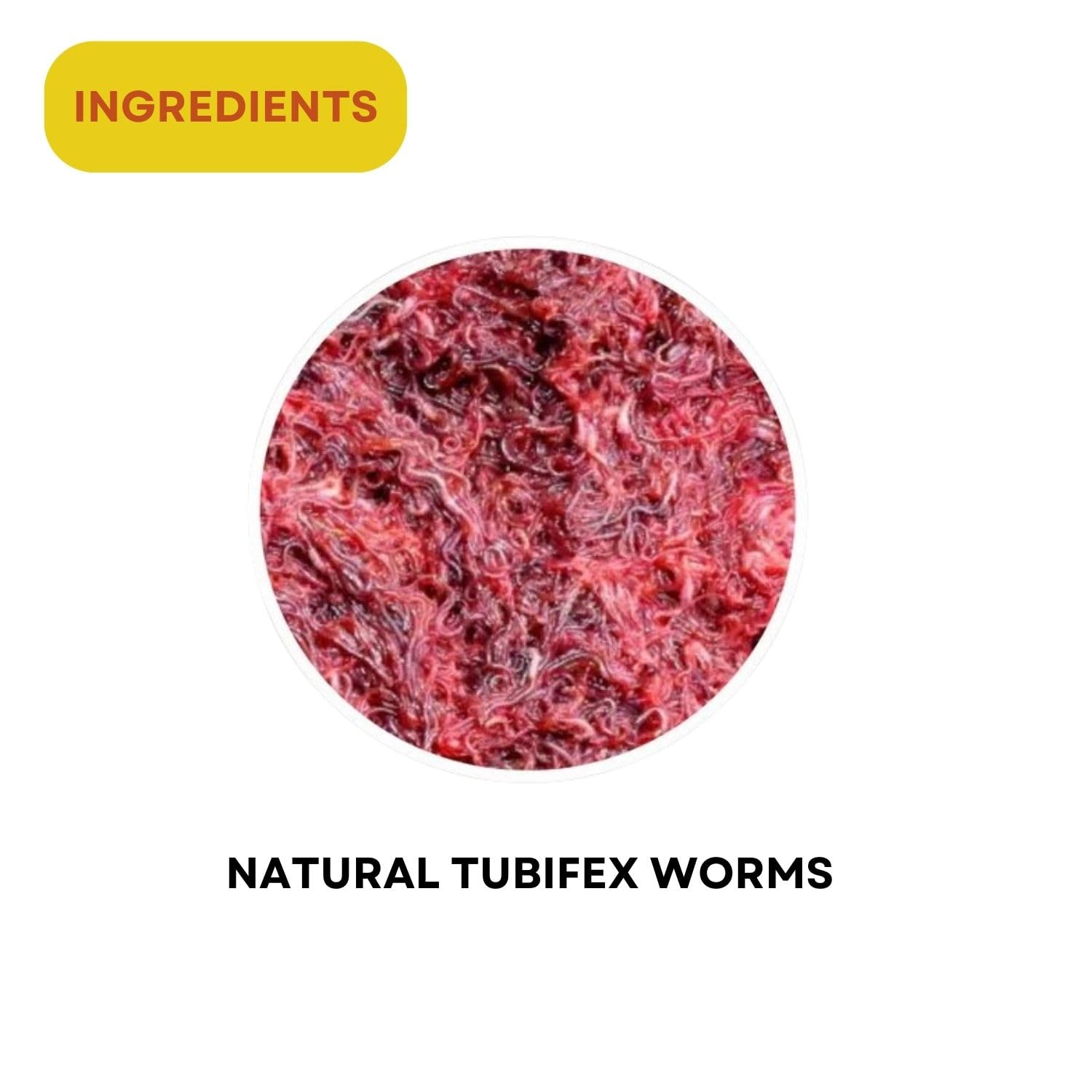 SF+ Tubifex Worms Fish Food | Freezed and Dried Worms for All Tropical Fishes | Originally from TUNAI Store (12gms, Dried Worms)