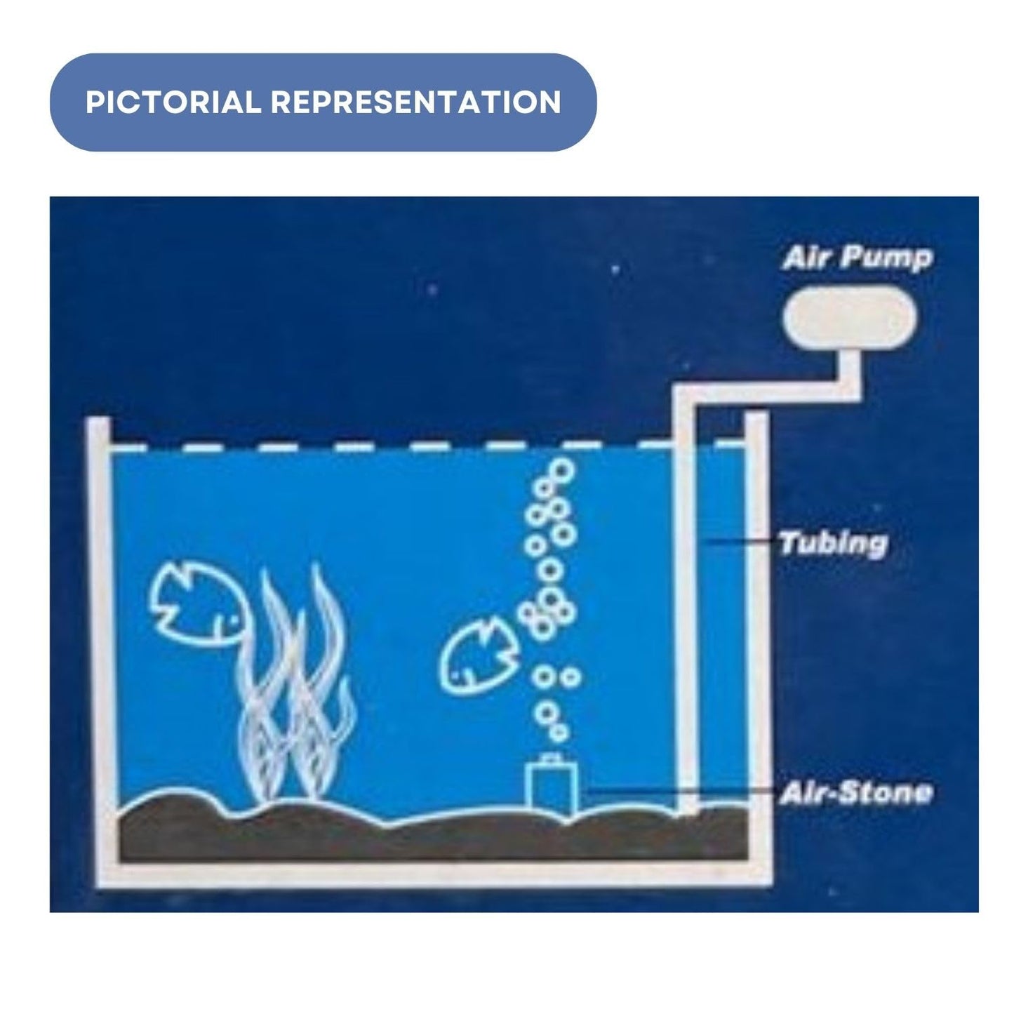 Dophin AP1500 Air Pump for Aquarium | Single Outlet | Output: 600CC/min | Suitable for Fish Tank Size 30-60L | (Original from Tunai Store)