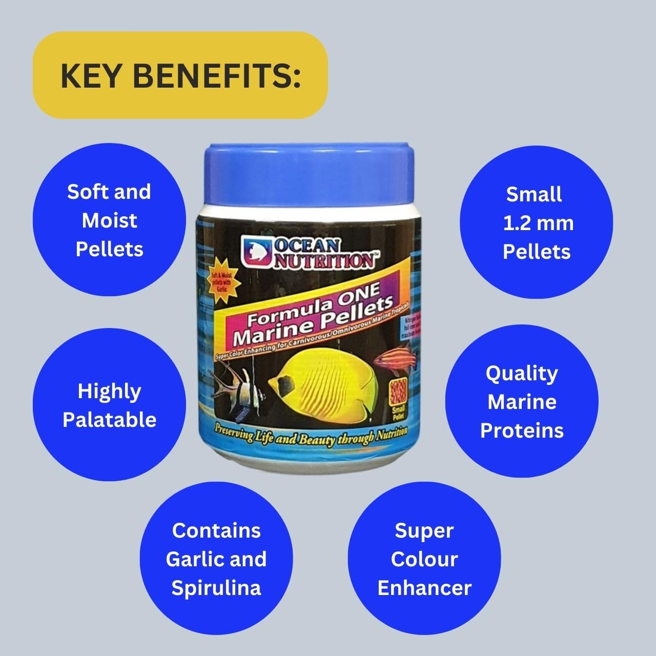 ON+ Formula One Marine Pellets Fish Food (Original from Tunai Store) | Super Color Enhancing for Carnivorous/Omnivorous Marine Tropical Fish (200gms, Small Pellets)