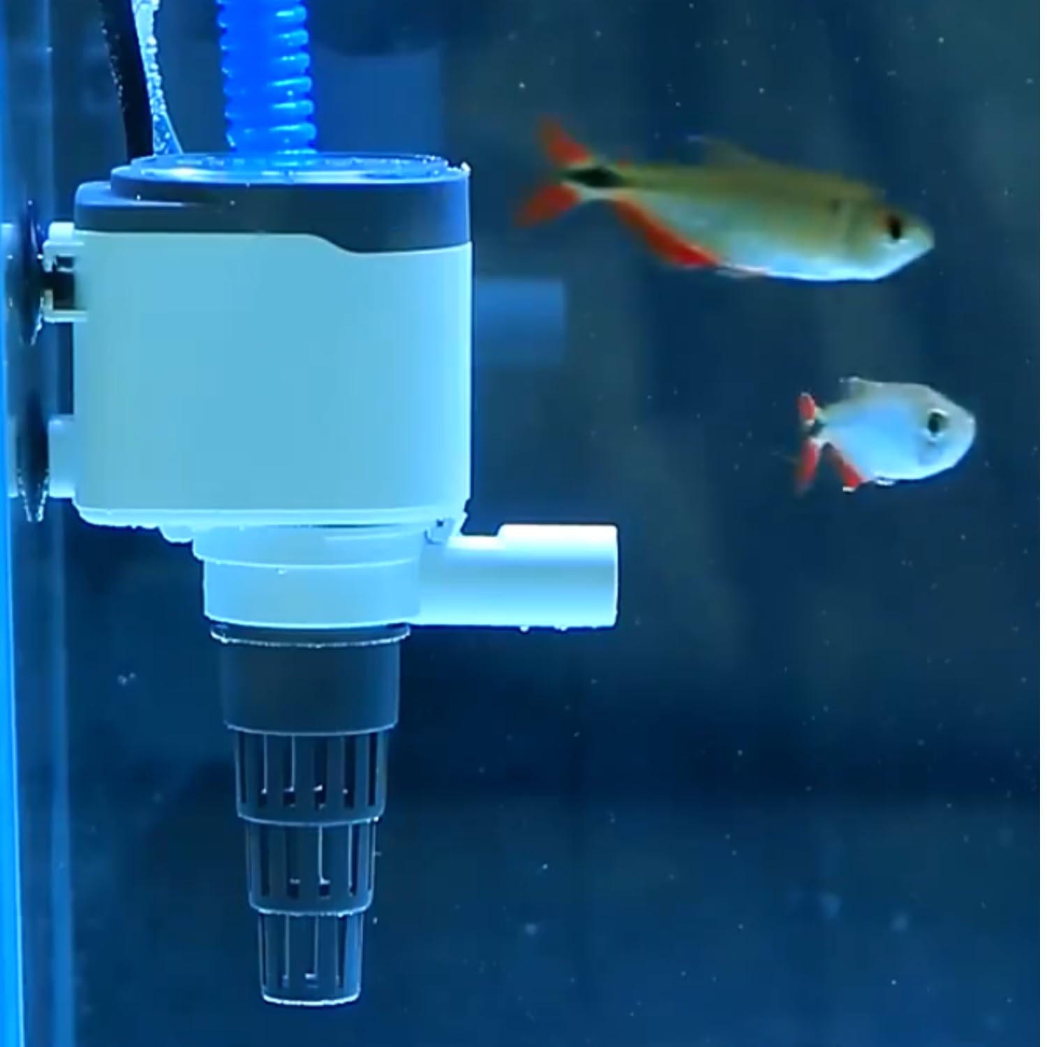 S0B0 AQ-1058 Power Head for Aquarium FIsh Tank | Powerful Water Circulation for Strong and Consistent Flow | Ideal for Marine and Fresh Water | Power: 30W | F.Max: 2200L/H | Original from Tunai Store