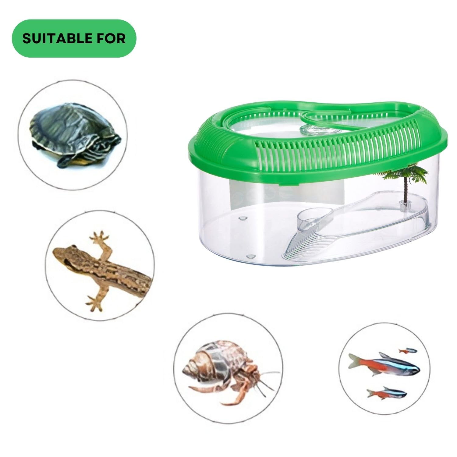 DOPHIN TT-350 Baby Turtle Tank Aquarium & Carrier with Lid, Ramp, Perfect for Baby Turtle, Crab Fish and Other Small Fish | Tank Volume: 6L | Tank Size: Large | Original from Tunai Store