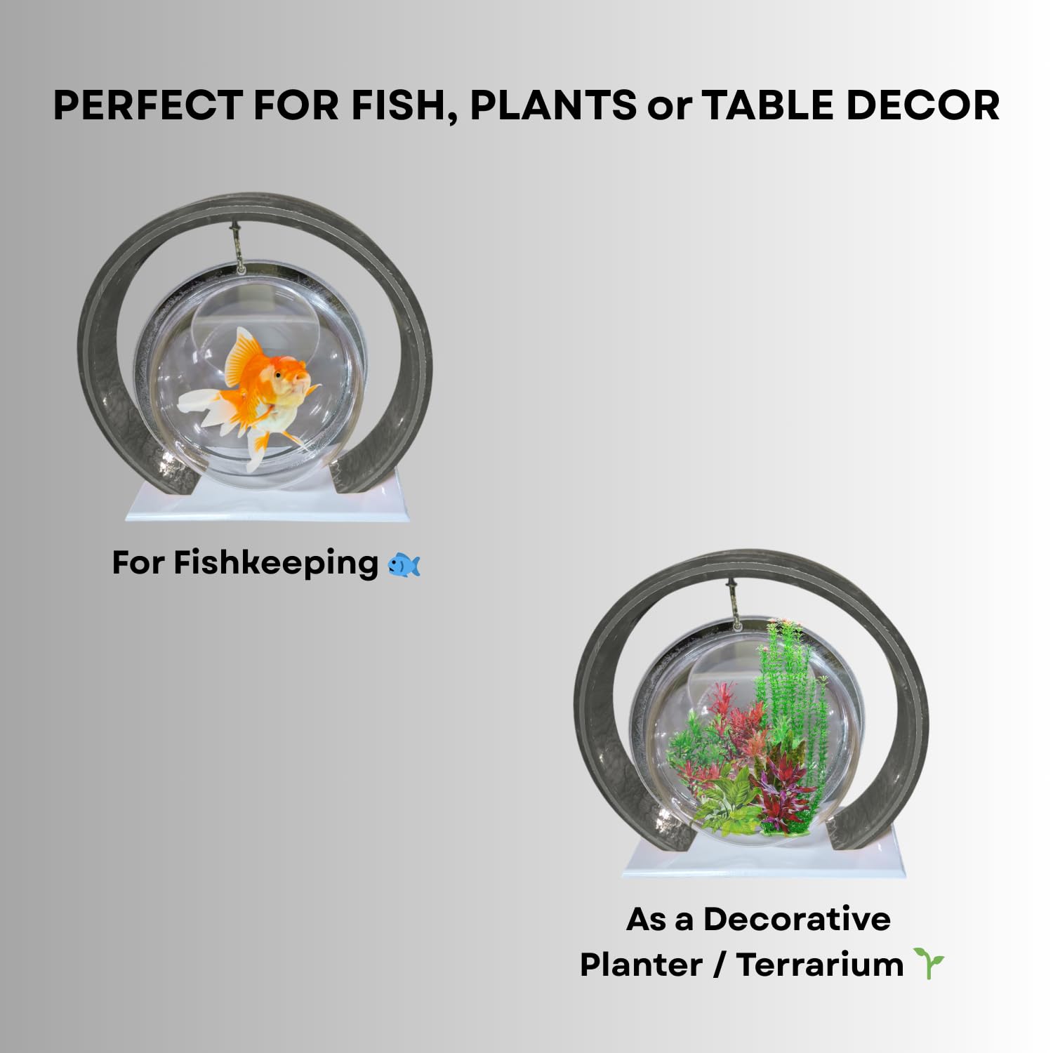 Double Bowl 6-inch Grey Round Fish Bowl – Standing & Hanging Decorative Aquarium for Home & Office | 2-in-1 Double Bowl Round Fish Tank