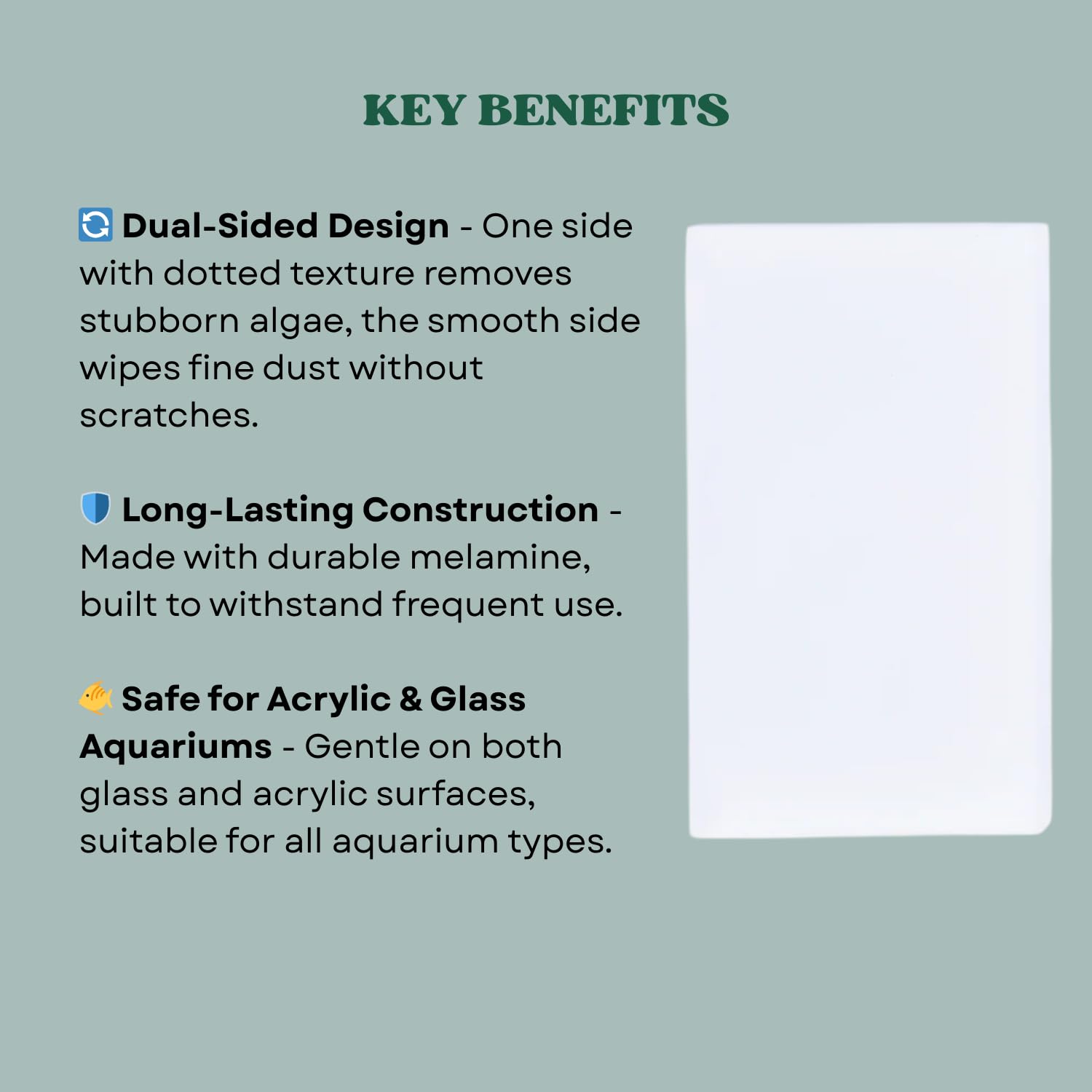 The Scape Right Series MAYA Algae Cleaning Pads for Aquarium | Safe for Acrylic & Glass Aquariums (1 Pad)