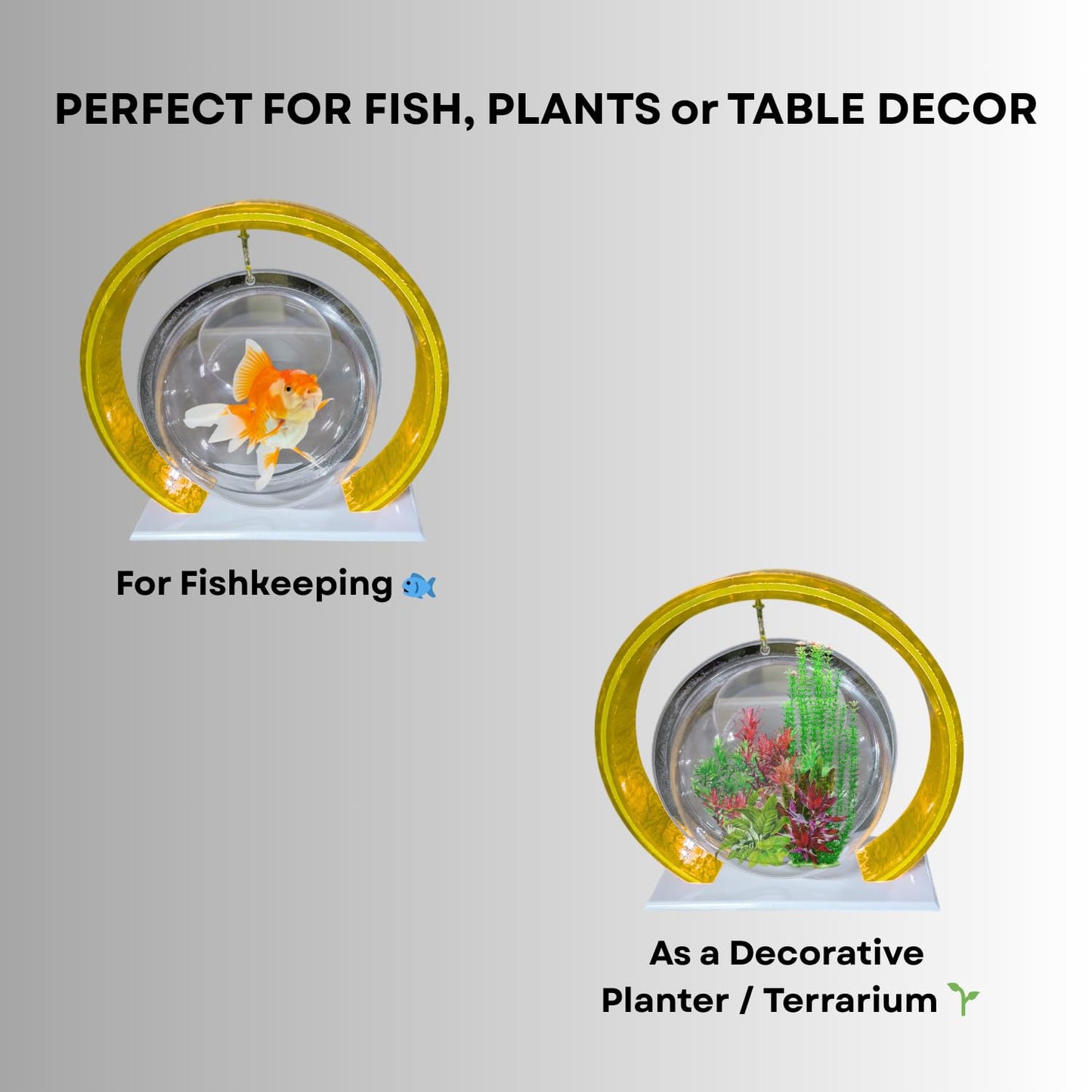 Double Bowl 6-inch Yellow Round Fish Bowl – Standing & Hanging Decorative Aquarium for Home & Office | 2-in-1 Double Bowl Round Fish Tank