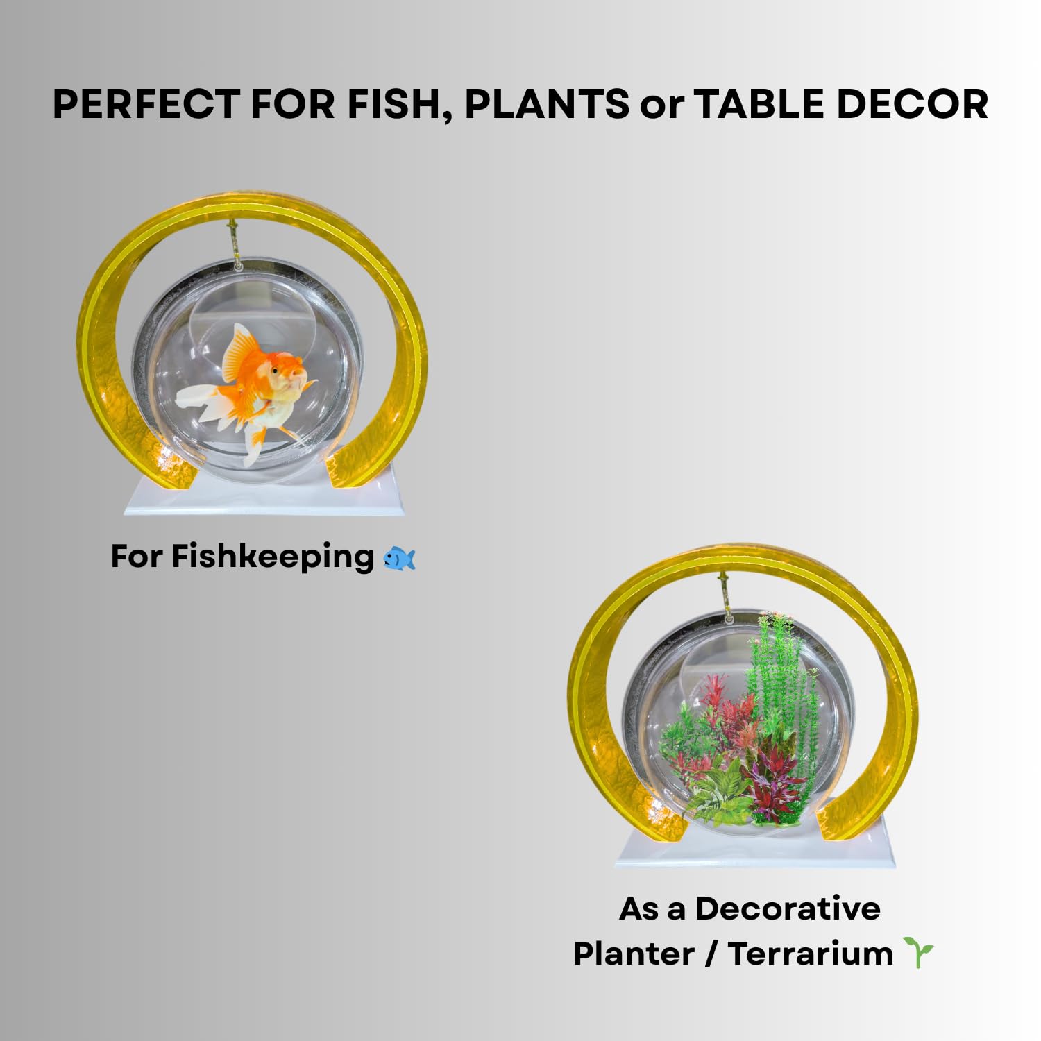 Double Bowl 6-inch Yellow Round Fish Bowl – Standing & Hanging Decorative Aquarium for Home & Office | 2-in-1 Double Bowl Round Fish Tank