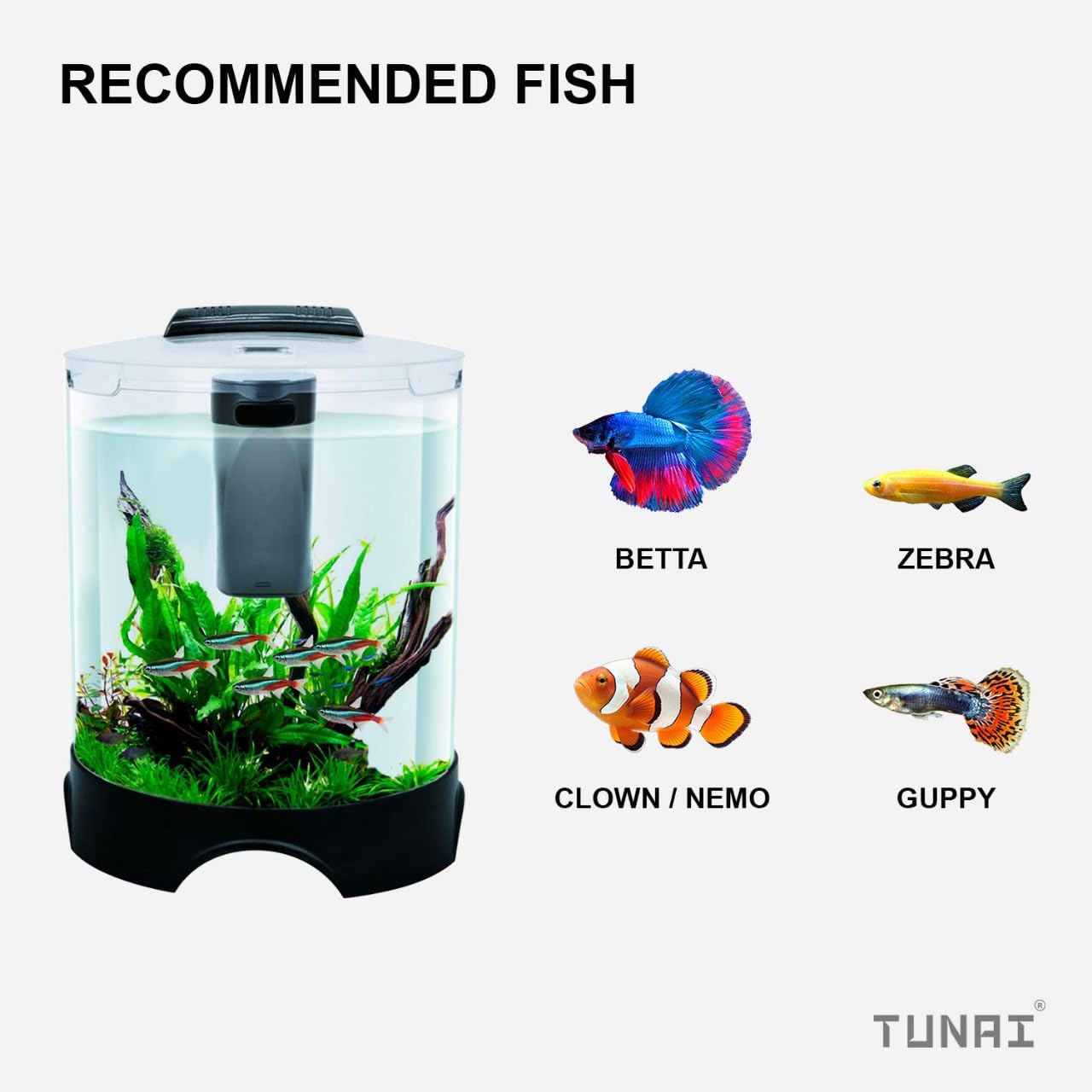 Tunai+ KW BT112 All-in-One DIY Aquarium Fish Tank Comes with Filter and Led Lights, 5.2 Ltrs Capacity Suitable for Small Fish Like Betta, Zebra, Guppy, Tetras & Others