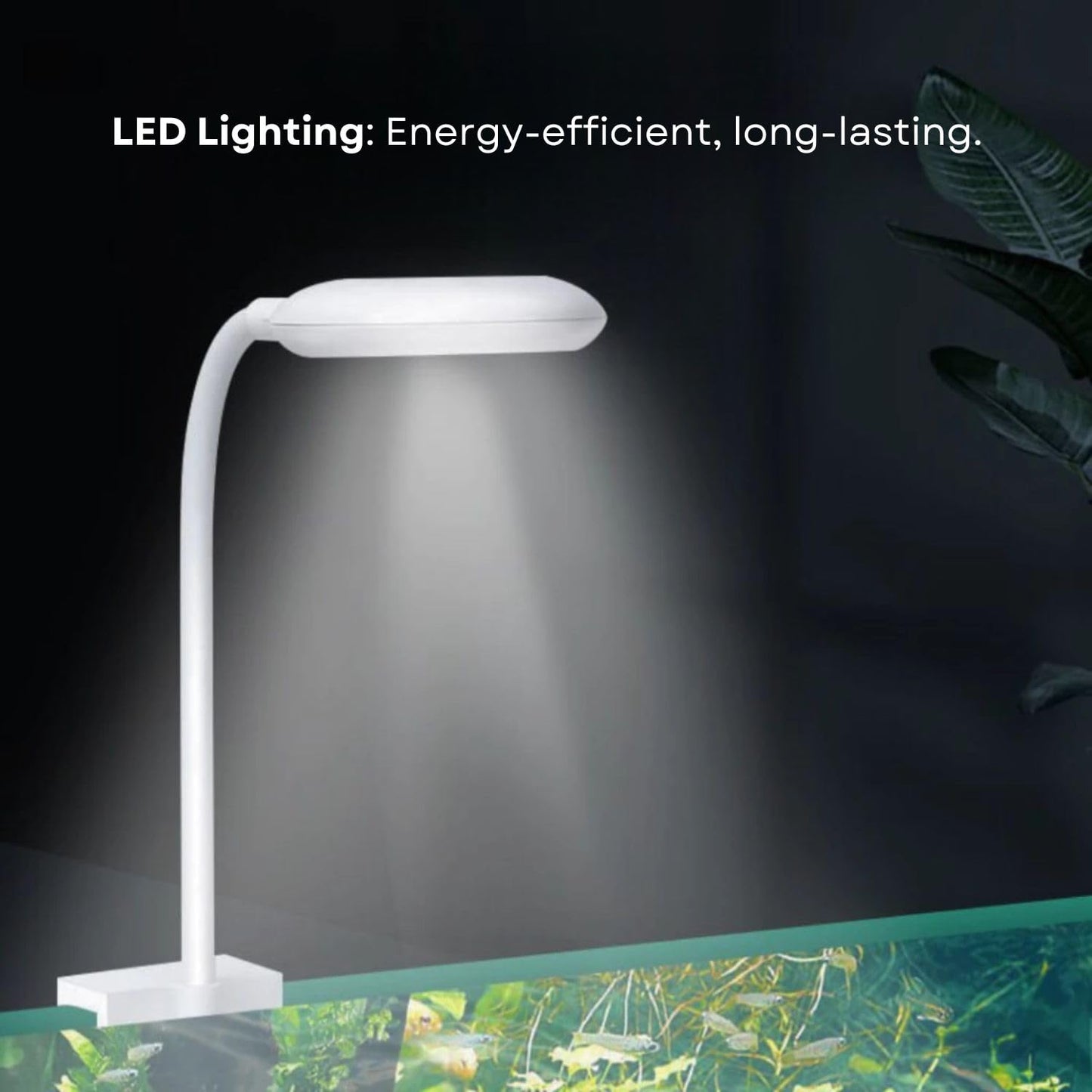 TUNAI RS-S Series Aquarium Light Set Up for Fish Aquarium (Blue + White, RS-S80)