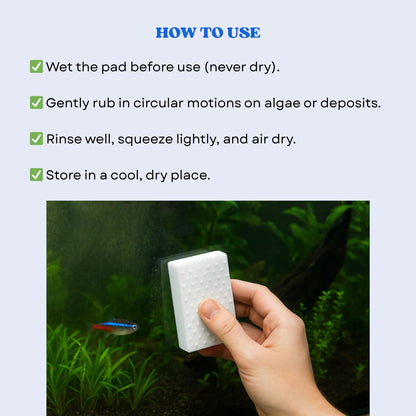 The Scape Right Series MAYA Double Dotted Algae Cleaning Pads | Premium-Grade Aquarium Glass Cleaner (3 Pads)