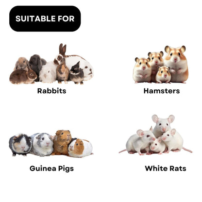 SF+ Nutri Bite Rabbit Pellets Food Food for Rabbits, Hamsters, Guinea Pig and White Rats | Daily Diet Added with Vitamins and Minerals (250gms, Pellets)