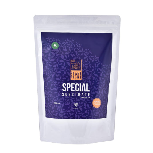 The Plant Right Series Special Substrate | Vibrant Aquatic Plants | The Ultimate Solution for Aquascaping Enthusiasts (2 L - Small)