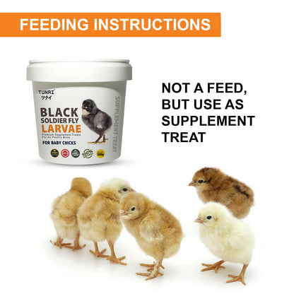 Tunai Black Soldier Fly Larvae | 500g | 60X Calcium, Fortified with 40% Protein Energy, Natural Supplement Treat for Poultry, Hen, Chicken, cockBaby Chicken