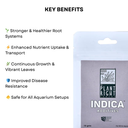 The Plant Right Series Indica Additives For Aquarium Plants | Oragnic Mycorrhiza Root Booster | Promotes Stronger Root Systems and Vibrant Growth (15 gms)