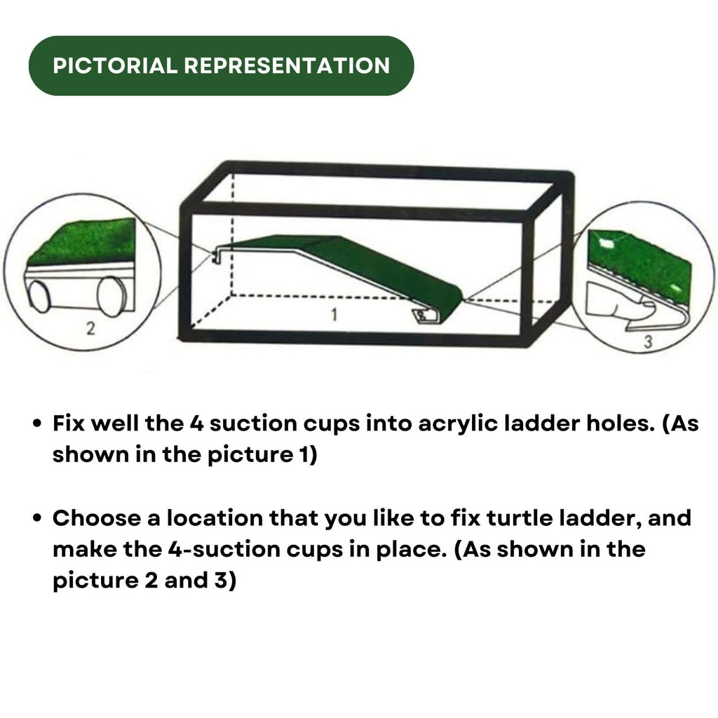 TUNAI Dophin TL 30 Acrylic Turtle Ladder (Original from Store) (Acrylic, Green)