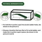 TUNAI Dophin TL 30 Acrylic Turtle Ladder (Original from Store) (Acrylic, Green)