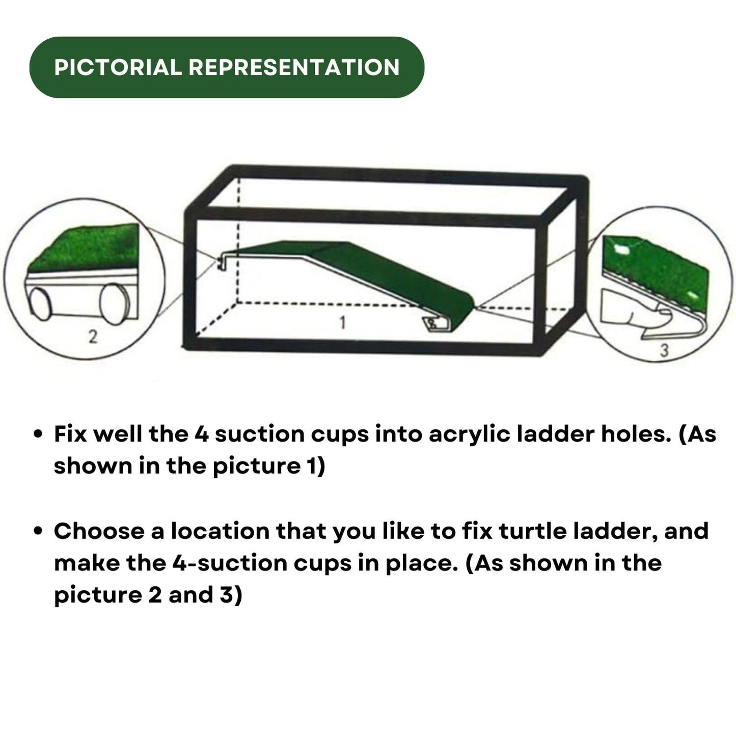 TUNAI Dophin TL 30 Acrylic Turtle Ladder (Original from Store) (Acrylic, Green)