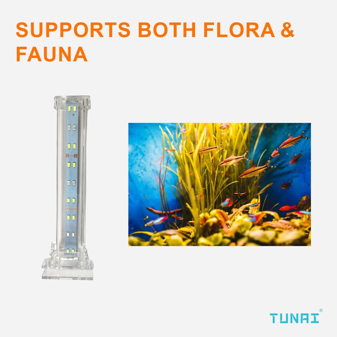 TUNAI+ Imported RS-S20 LED Light Set Up for Aquarium Fish Tank (White, RS-S20)