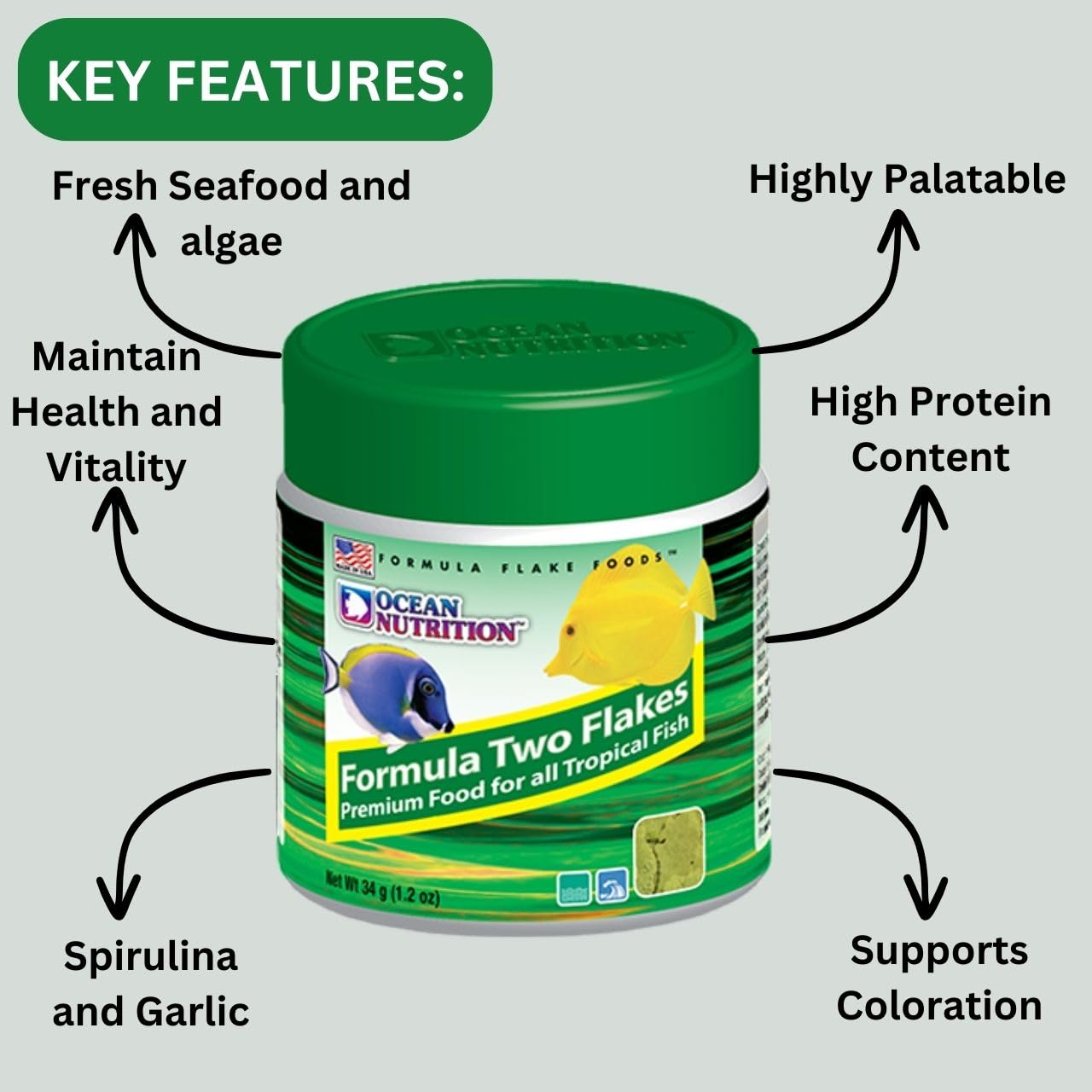 ON+ Formula Two Flakes Fish Food (Original from Tunai Store) | Premium Flake Food for All Tropical Fish (34gms, Flake)