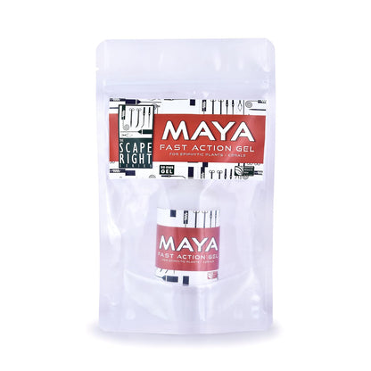 The Scape Right Series Fast Action Gel for Epiphytic Plants and Corals | Safe for Aquatic Life | Suitable for Freshwater & Marine Aquariums (50 GMS)