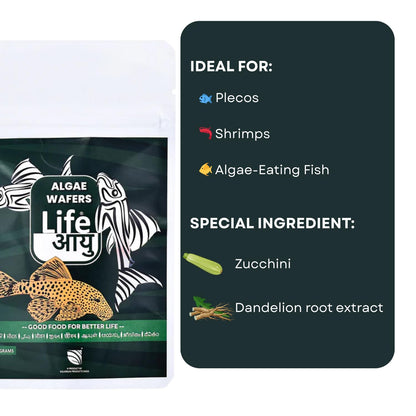 Life AAYU Algae Wafer Fish Food | Zucchini & Dandelion Formula for Plecos and Algae Eaters | Improves Digestion & Water Clarity (15 GMS)