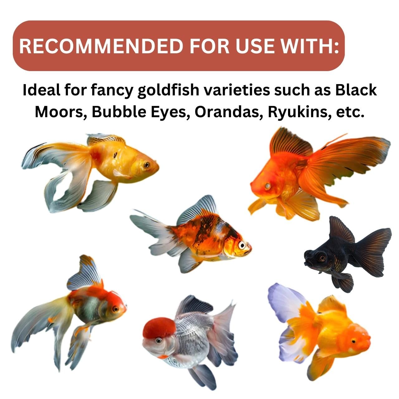 ON+ Goldfish Formula Flakes Fish Food for Gold Fish | 71g |34% Rich Protein Flakes for Gold Fish, Small Koi, Angelfish and Other Carp Varieties (Original Import Fishfood from Tunai Store)