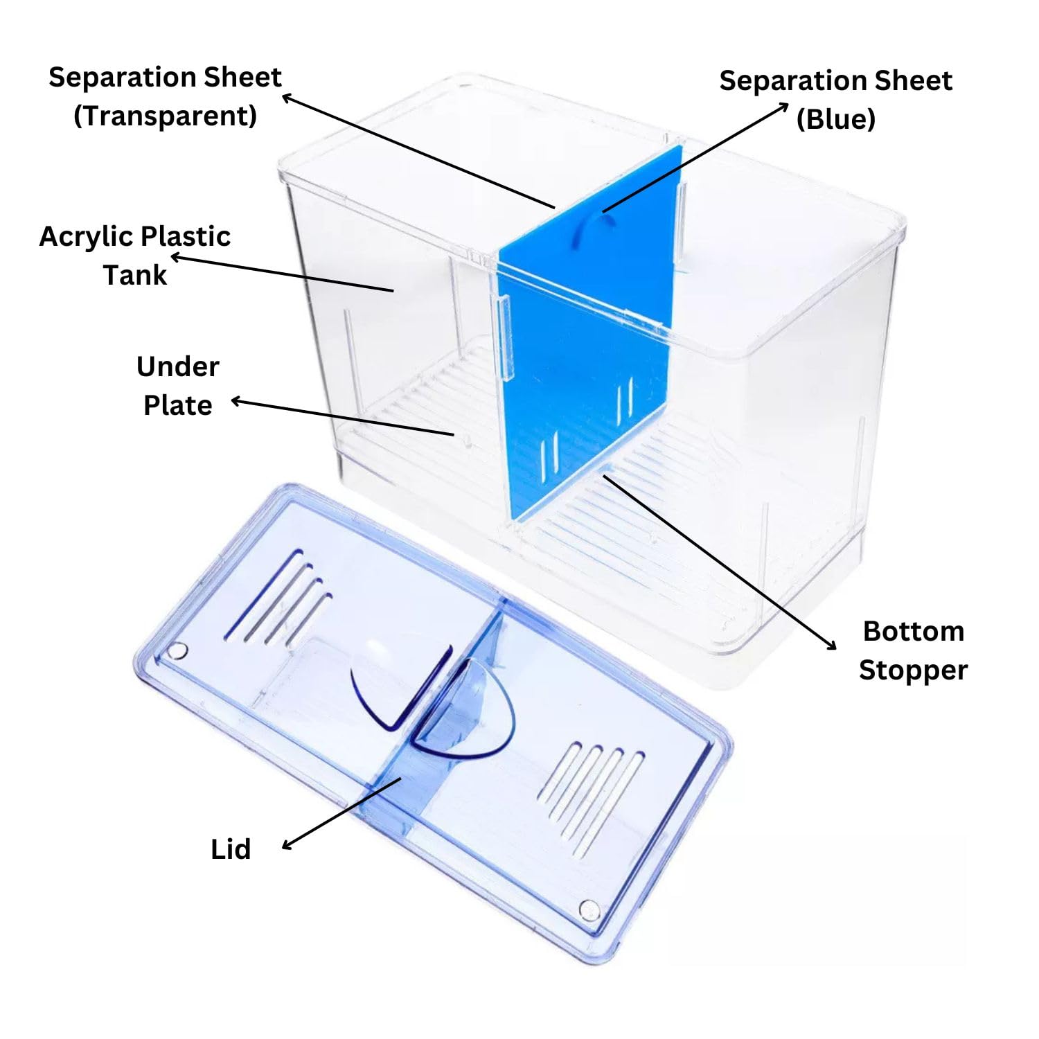 Dophin BT104 Aquarium Betta Fish Tank | Ideal for Betta, Small Fishes and Plant Keeping |Capacity - 1L Fish Tank | (Original from Tunai Store)