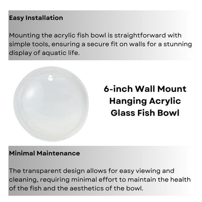 6-inch Wall Mount Hanging Acrylic Aquarium Fish Tank | Suitable for Small Fish & Water Plants | Best Fit for Home & Office Spaces