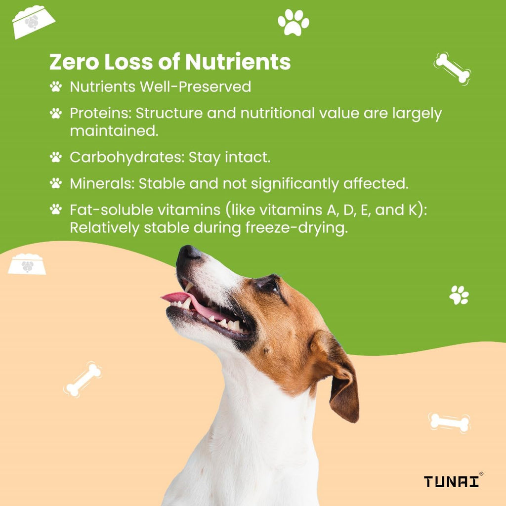 Tunai Premium Freeze Dried Treats for Adult Dogs & Weaning Puppies, 30g (Mini, Salmon Cubes)