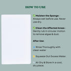 The Scape Right Series MAYA Algae Cleaning Pads for Aquarium | Safe for Acrylic & Glass Aquariums (1 Pad)