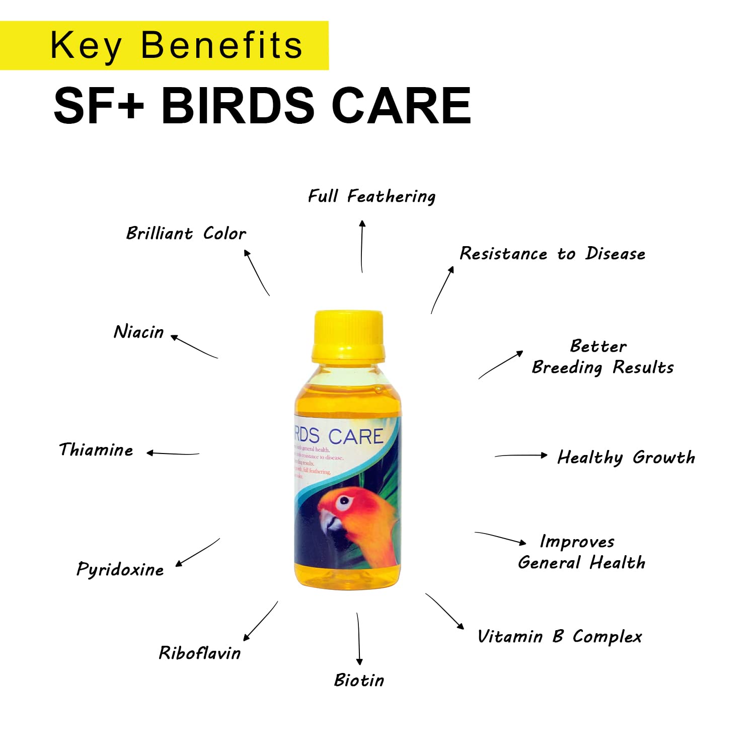 SF+ Birds Care |100ml|Healthy Supplement Fortified with Vitamins for Love Birds, Cockteils, Finches, Conures, Parrots, Macaws, Senegals, Parrots