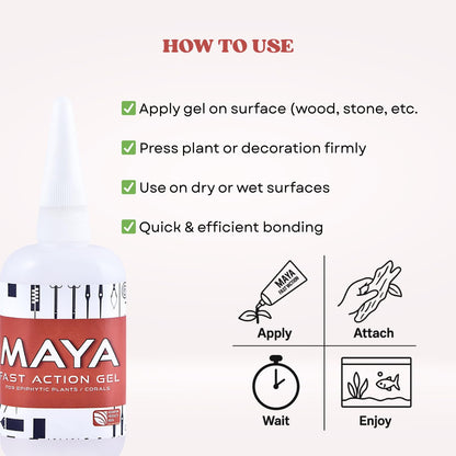 The Scape Right Series Fast Action Gel for Epiphytic Plants and Corals | Safe for Aquatic Life | Suitable for Freshwater & Marine Aquariums (20 gms)