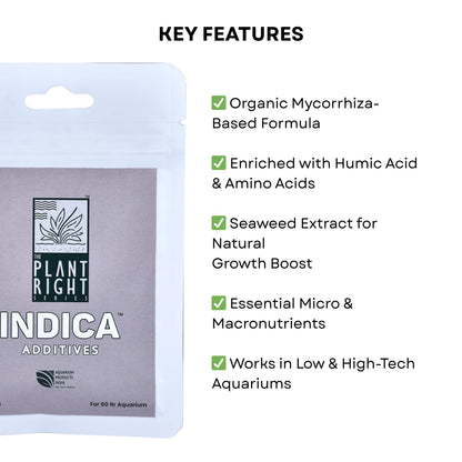 The Plant Right Series Indica Additives For Aquarium Plants | Oragnic Mycorrhiza Root Booster | Promotes Stronger Root Systems and Vibrant Growth (15 gms)