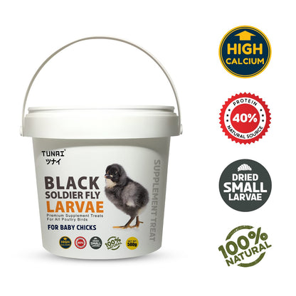 Tunai Black Soldier Fly Larvae | 500g | 60X Calcium, Fortified with 40% Protein Energy, Natural Supplement Treat for Poultry, Hen, Chicken, cockBaby Chicken