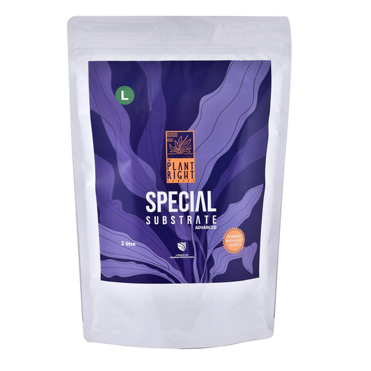 The Plant Right Series Special Substrate | Vibrant Aquatic Plants | The Ultimate Solution for Aquascaping Enthusiasts (2 L - Large)