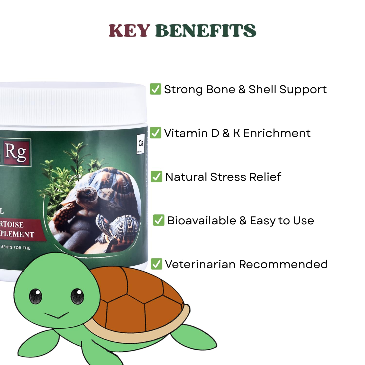 Reptile Garden Turtle & Tortoise Calcium Supplement | with Vitamins D & K | Stress-Relieving Essential Oils (100 GMS)