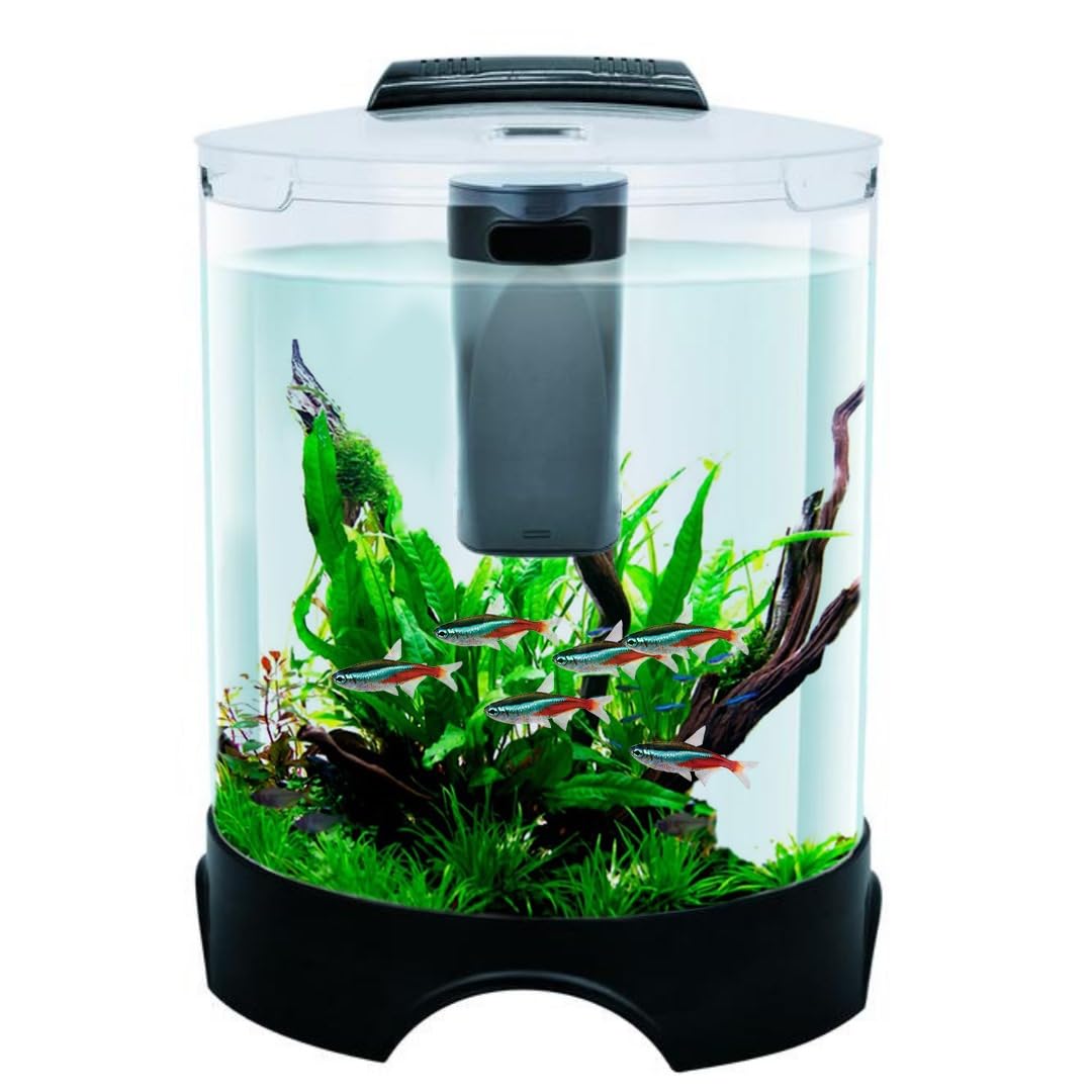 Tunai+ KW BT112 All-in-One DIY Aquarium Fish Tank Comes with Filter and Led Lights, 5.2 Ltrs Capacity Suitable for Small Fish Like Betta, Zebra, Guppy, Tetras & Others