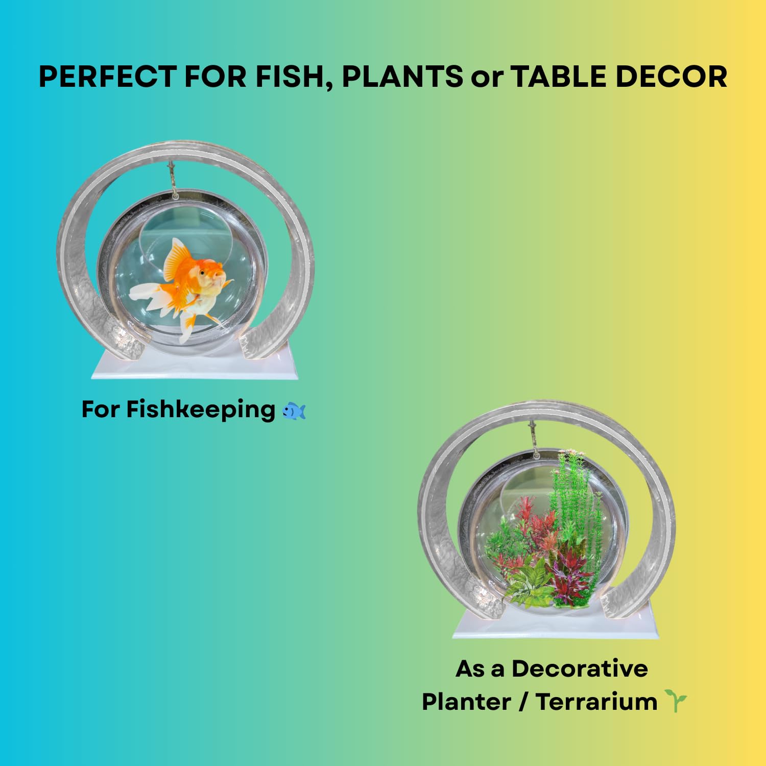 Double Bowl 6-inch White Round Fish Bowl – Standing & Hanging Decorative Aquarium for Home & Office | 2-in-1 Double Bowl Round Fish Tank