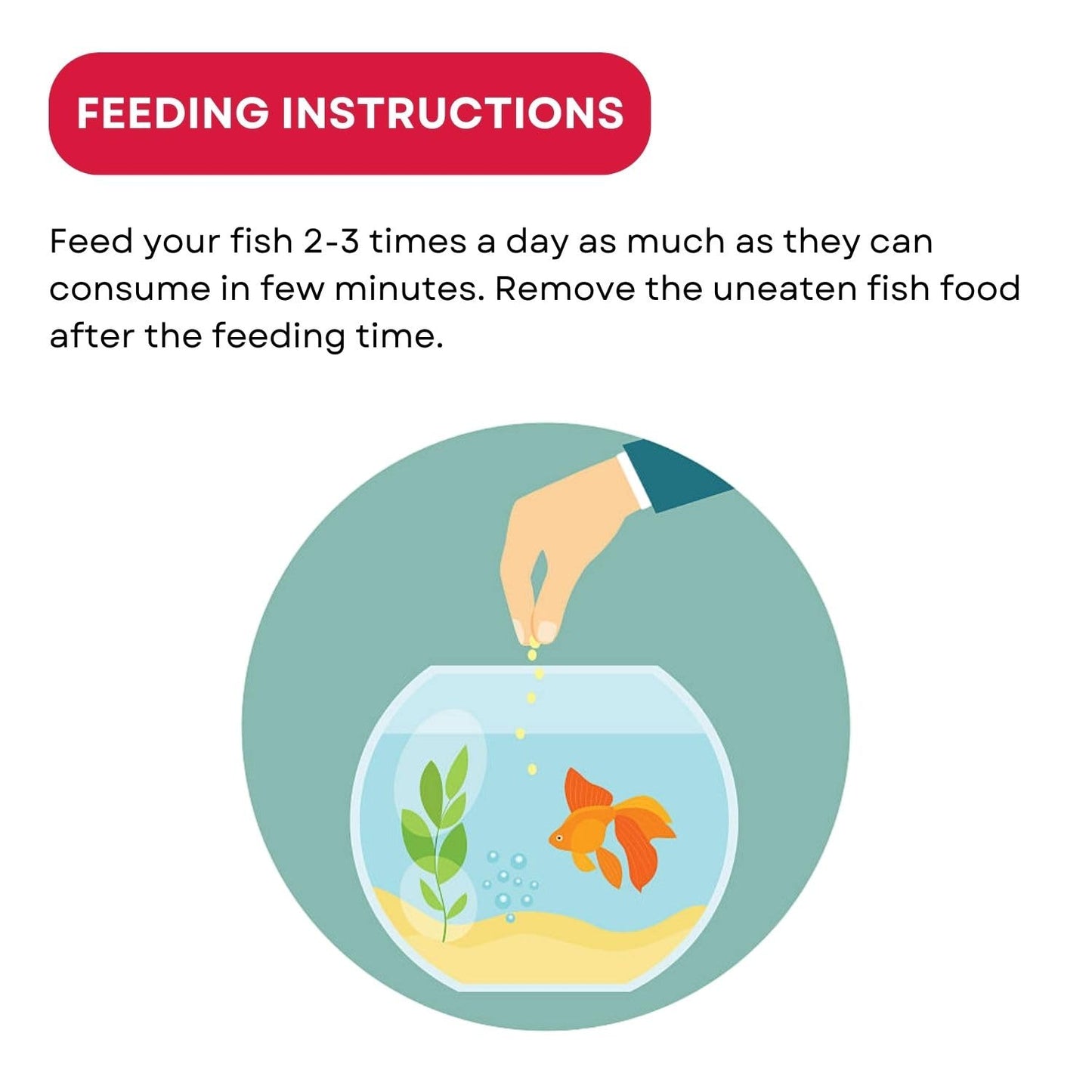 SF+ Star Bite Fish Food | Super Saver Pack (400g, Fast Growth)