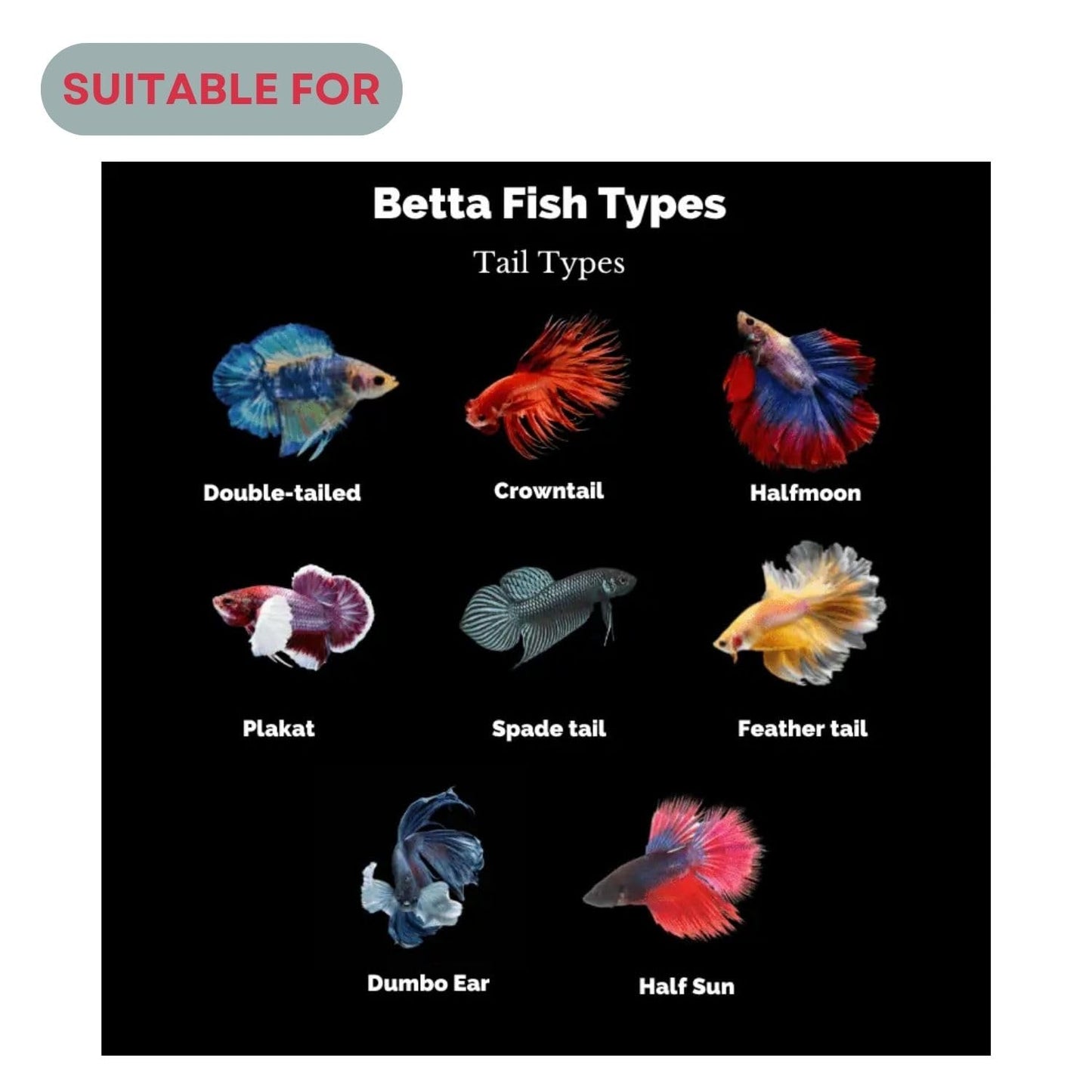 SF+ Red Fin Betta Pellets Fish Food | Specially Formulated for Betta Fish | Originally from TUNAI Store (25gms, Pellets)