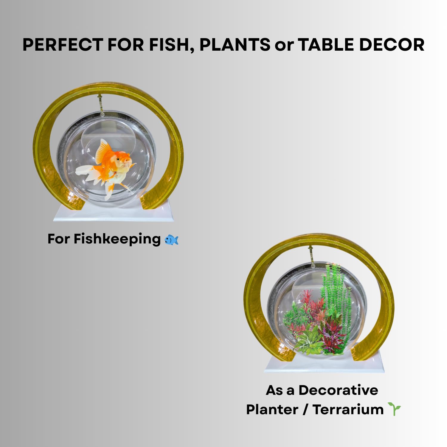 Double Bowl 6-inch Gold Round Fish Bowl – Standing & Hanging Decorative Aquarium for Home & Office | 2-in-1 Double Bowl Round Fish Tank
